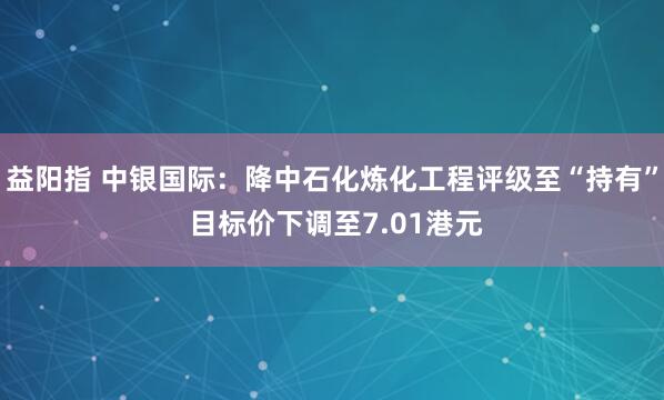 益阳指 中银国际:降中石化炼化工程评级至“持有” 目标价下调至7.01港元