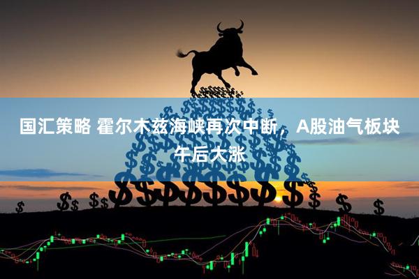 国汇策略 霍尔木兹海峡再次中断，A股油气板块午后大涨